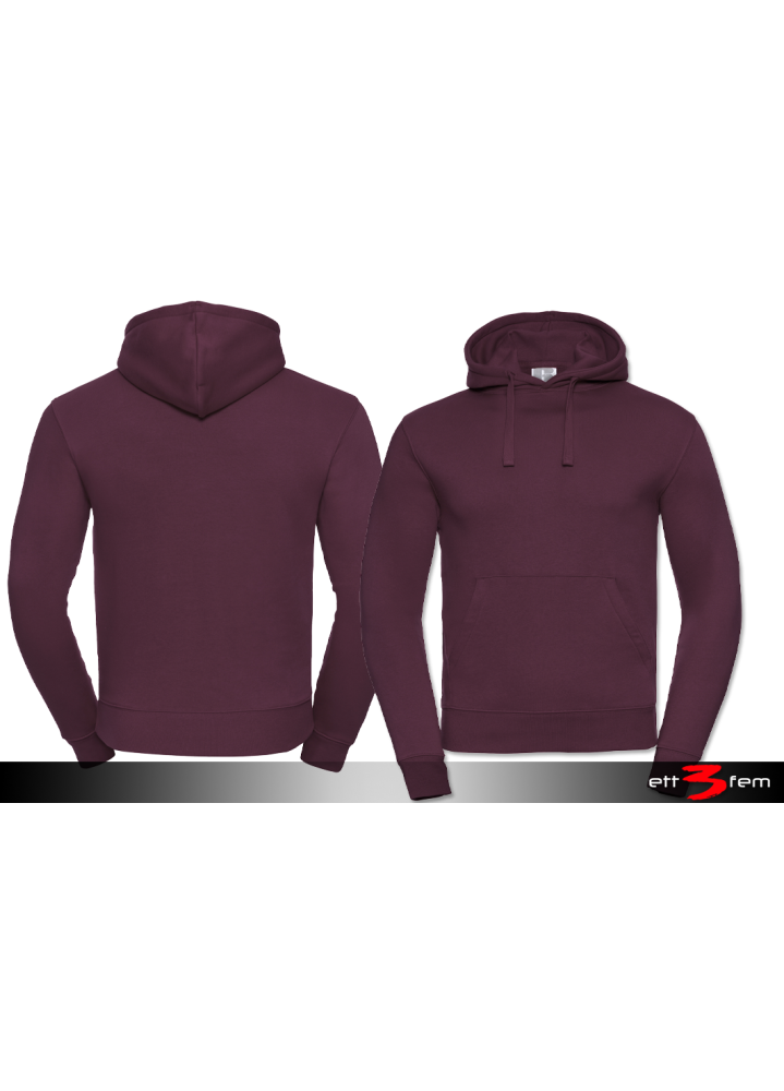 Mens Authentic Hooded Sweat
