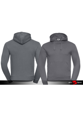 Mens Authentic Hooded Sweat