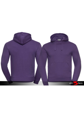 Mens Authentic Hooded Sweat