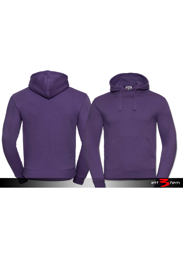 Mens Authentic Hooded Sweat