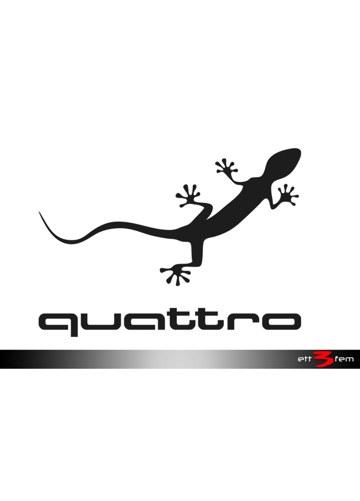 Dekal "AUDI Quattro Gecko"